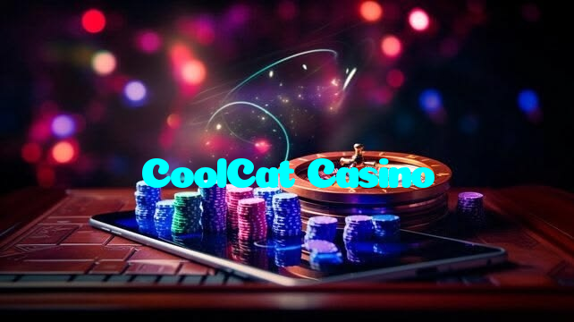 available types of CoolCat Casino bet including pre-match live express and system bets